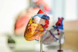 selective focus photography of heart organ illustration