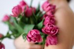 pink roses on persons lap